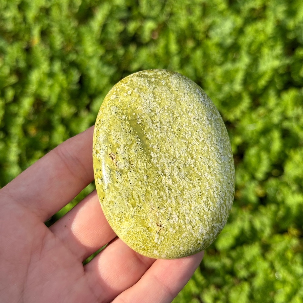 Serpentine Palmstone | Green Crystal for Luck, Abundance & Success Energies